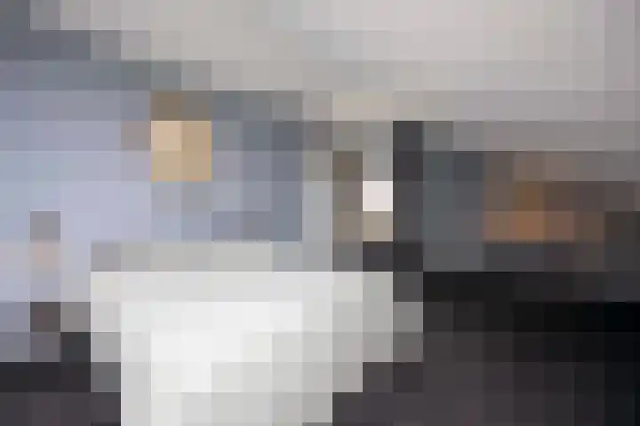Frankenbocht 1 Hilvarenbeek thumbnail 28