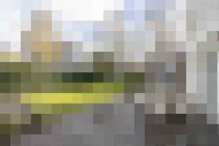 Frankenbocht 1 Hilvarenbeek thumbnail 33