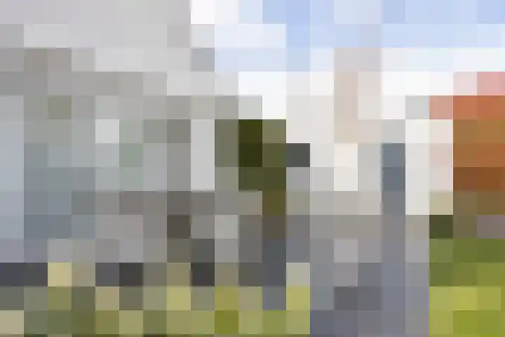 Frankenbocht 1 Hilvarenbeek thumbnail 36