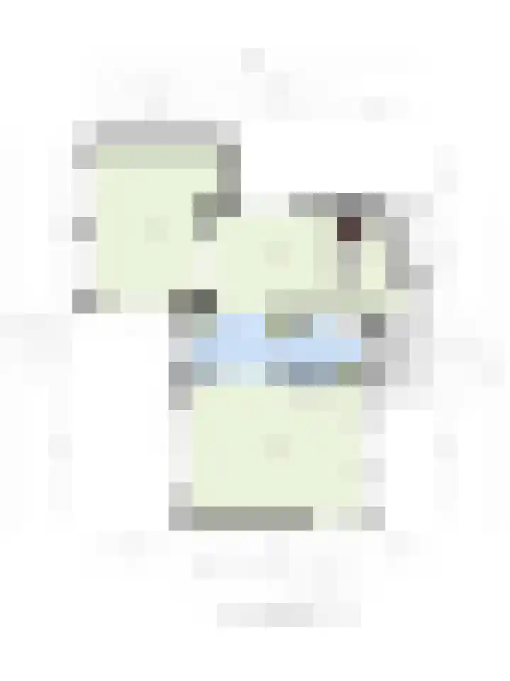 Frankenbocht 1 Hilvarenbeek thumbnail 38