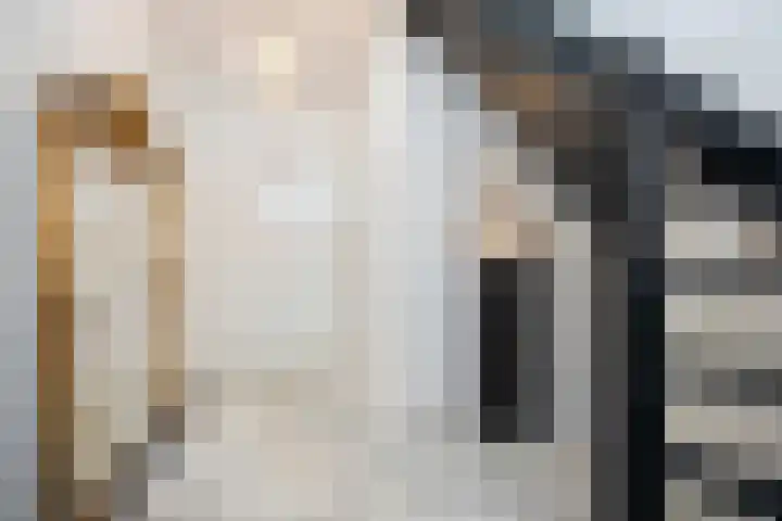 Frankenbocht 1 Hilvarenbeek thumbnail 6