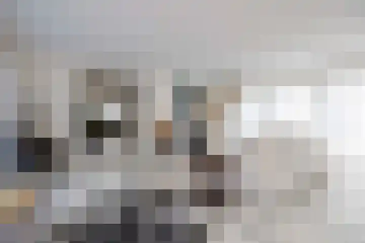 Frankenbocht 1 Hilvarenbeek thumbnail 7
