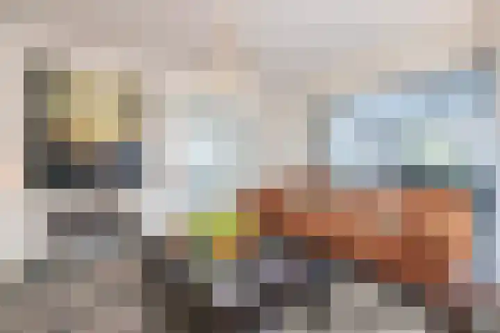Frankenbocht 1 Hilvarenbeek thumbnail 8