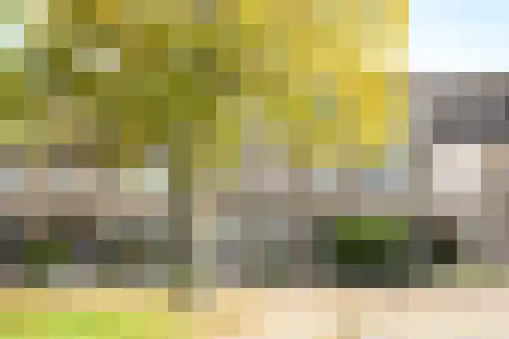 Frankenburgsingel 16 in Hoofddorp