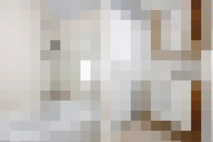 Frankenburgsingel 16 Hoofddorp thumbnail 22