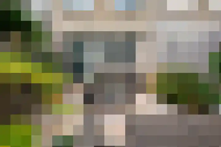 Frankenburgsingel 16 Hoofddorp thumbnail 30