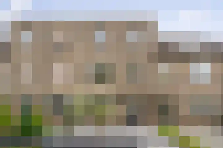 Frankenburgsingel 24 Hoofddorp thumbnail 33