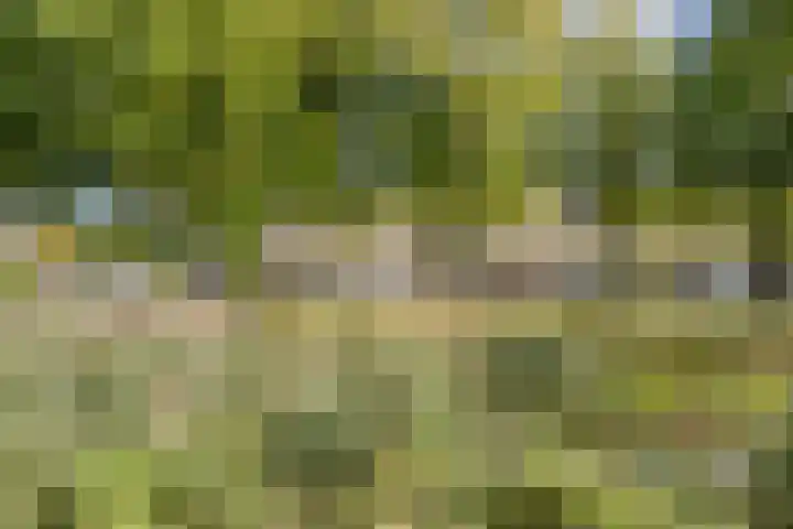 Frankenburgsingel 24 Hoofddorp thumbnail 35