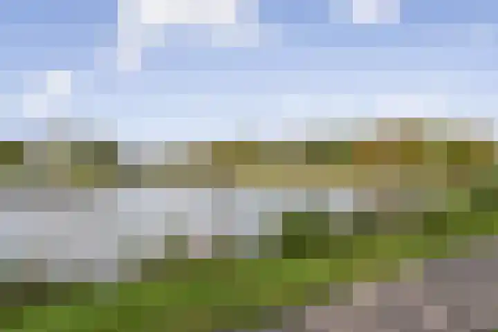Frankenburgsingel 24 Hoofddorp thumbnail 37