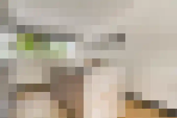 Frankenburgsingel 24 Hoofddorp thumbnail 8