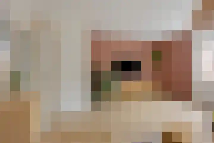 Frankendaal 15 Rotterdam thumbnail 10