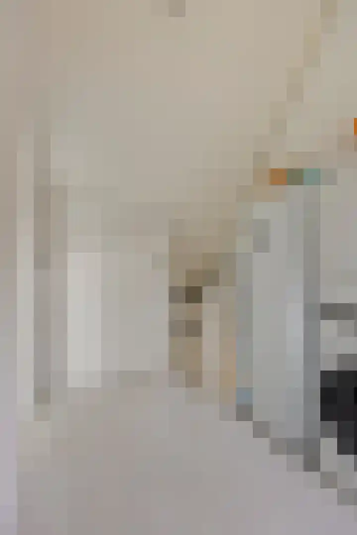 Frankendaal 15 Rotterdam thumbnail 31