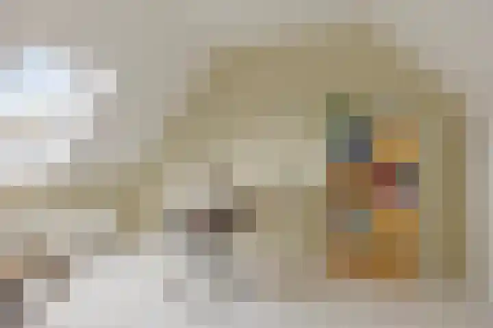 Frankendaal 15 Rotterdam thumbnail 33