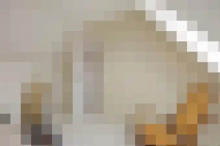 Frankendaal 15 Rotterdam thumbnail 34