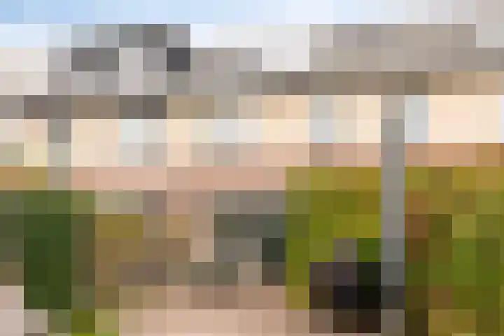 Frankendaal 15 Rotterdam thumbnail 38