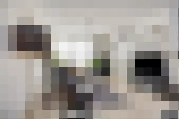 Frankendaal 21 Eindhoven thumbnail 10