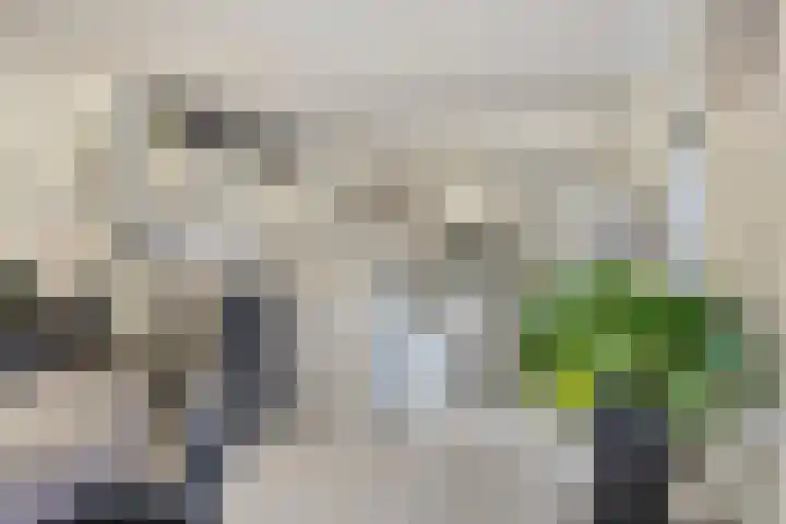 Frankendaal 21 Eindhoven thumbnail 12