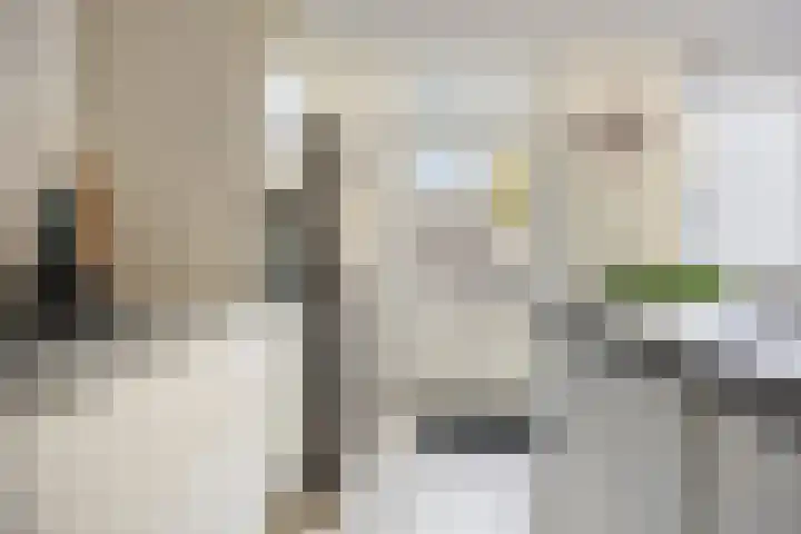 Frankendaal 21 Eindhoven thumbnail 15