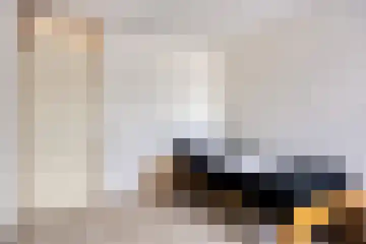 Frankendaal 21 Eindhoven thumbnail 18