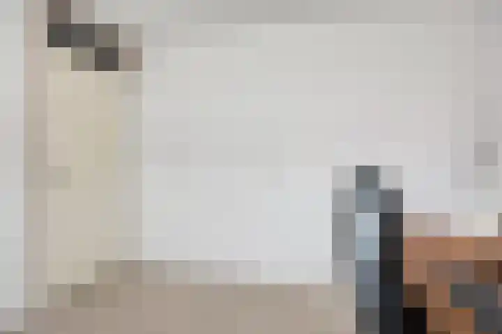 Frankendaal 21 Eindhoven thumbnail 22