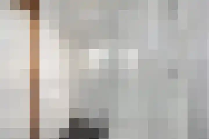 Frankendaal 21 Eindhoven thumbnail 23