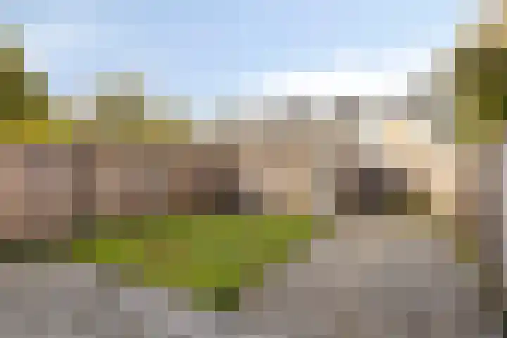 Frankendaal 21 Eindhoven thumbnail 27