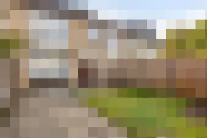 Frankendaal 21 Eindhoven thumbnail 28