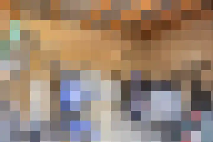 Frankendaal 21 Eindhoven thumbnail 29