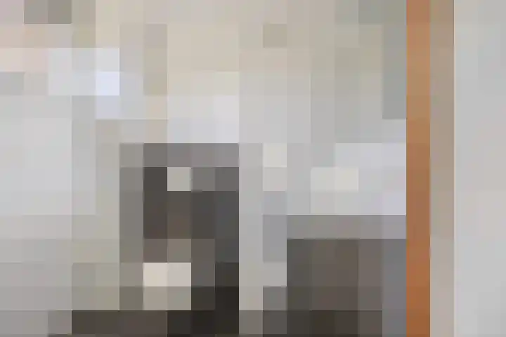 Frankendaal 21 Eindhoven thumbnail 5