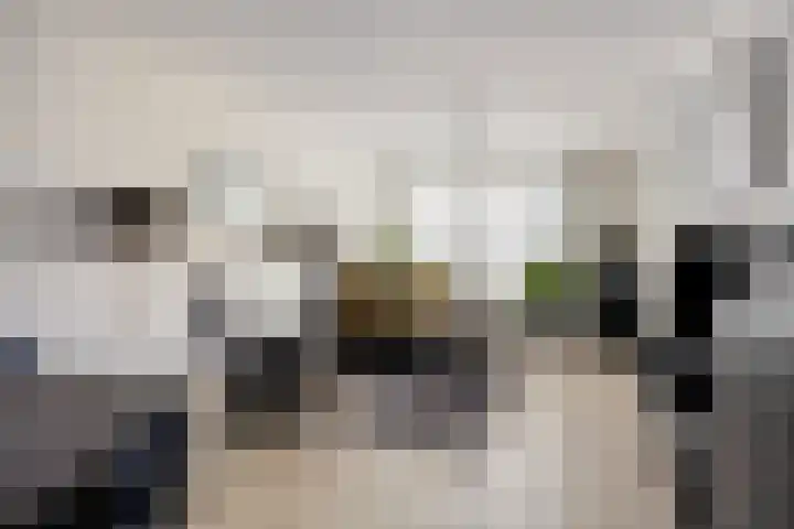 Frankendaal 21 Eindhoven thumbnail 9