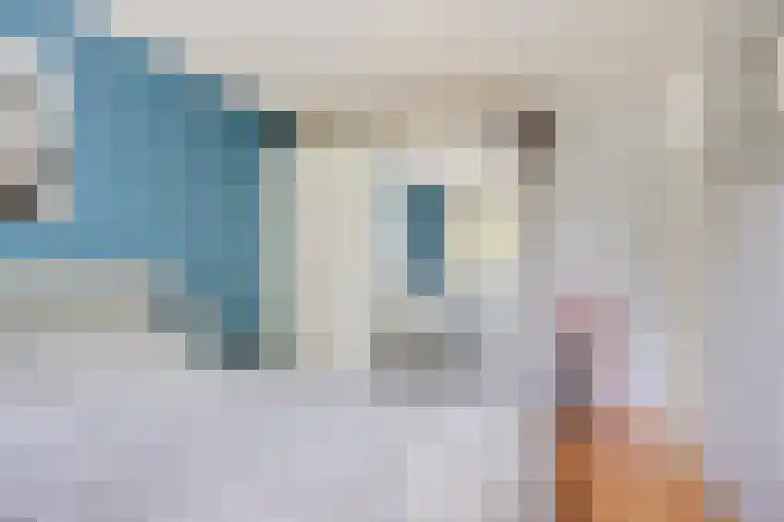 Frankendaal 22 Rotterdam thumbnail 14