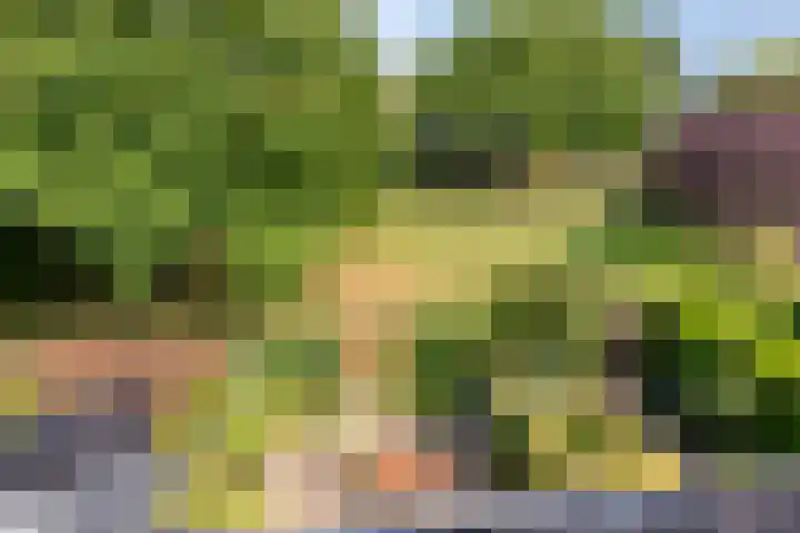 Frankendaal 22 Rotterdam thumbnail 24