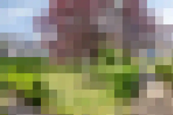 Frankendaal 22 Rotterdam thumbnail 30