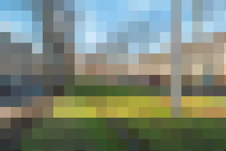 Frankendaal 35 Rotterdam thumbnail 33