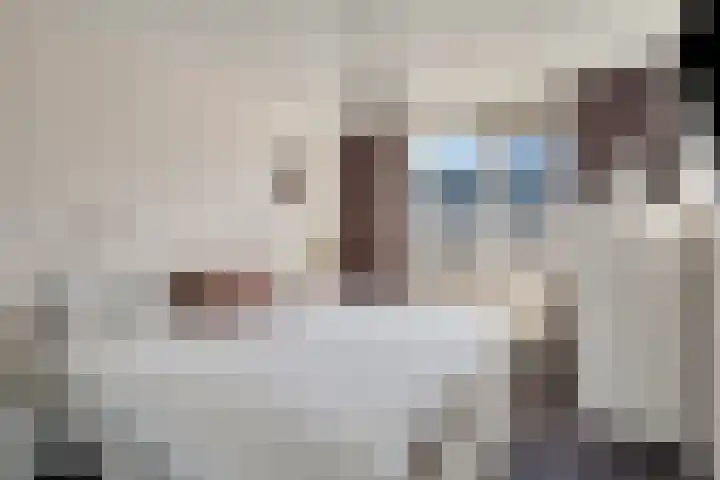 Frankendaal 35 Rotterdam thumbnail 9