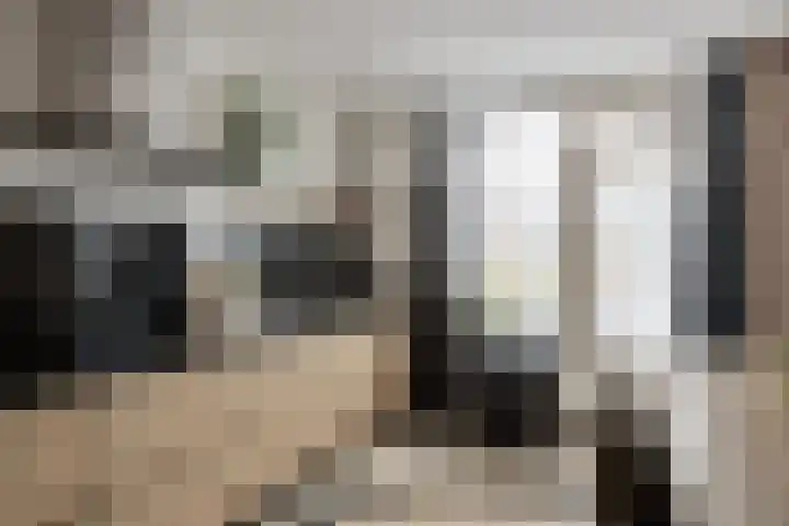 Frankendaal 44 Eindhoven thumbnail 17