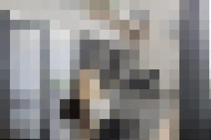 Frankendaal 44 Eindhoven thumbnail 18