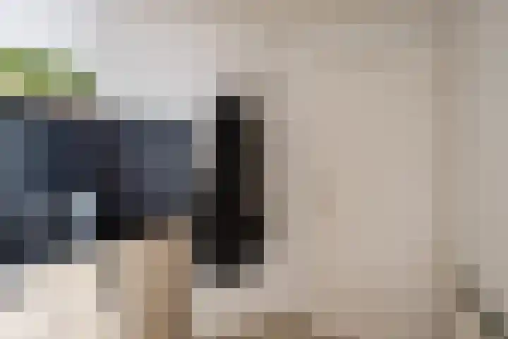 Frankendaal 44 Eindhoven thumbnail 20
