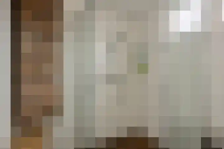 Frankendaal 44 Eindhoven thumbnail 30