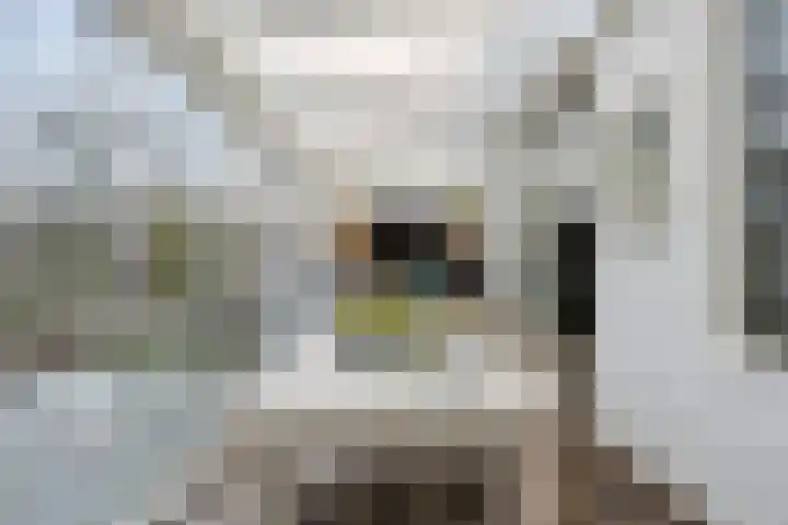 Frankendaal 44 Eindhoven thumbnail 36