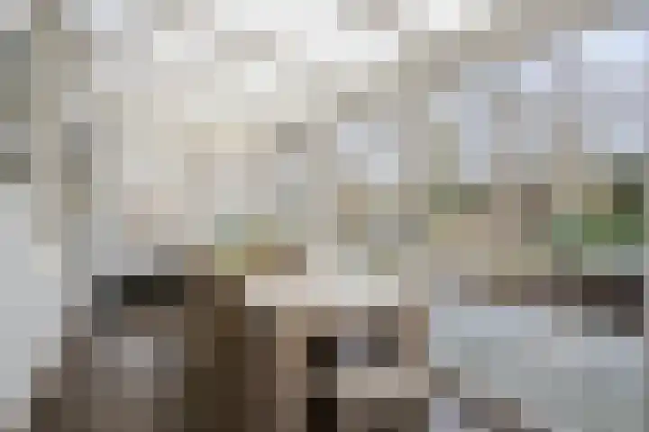 Frankendaal 44 Eindhoven thumbnail 37
