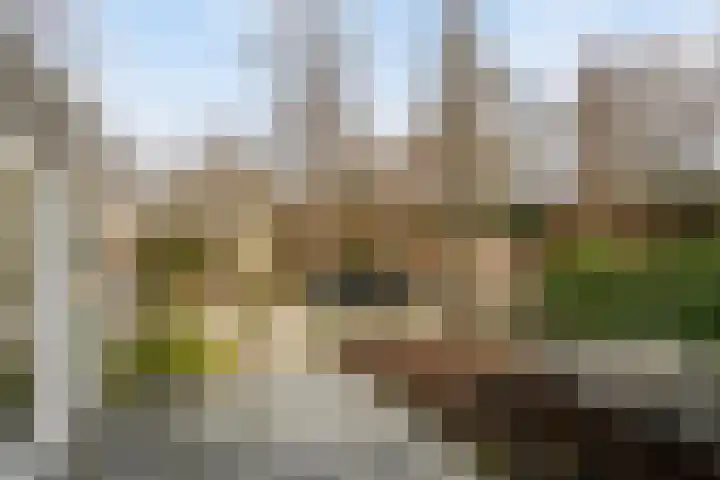 Frankendaal 44 Eindhoven thumbnail 38