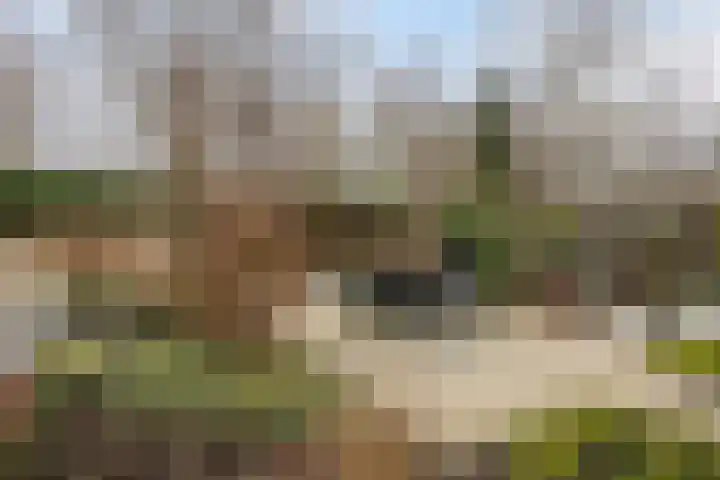 Frankendaal 44 Eindhoven thumbnail 39