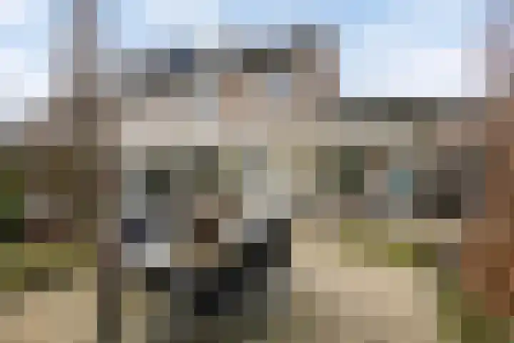 Frankendaal 44 Eindhoven thumbnail 40