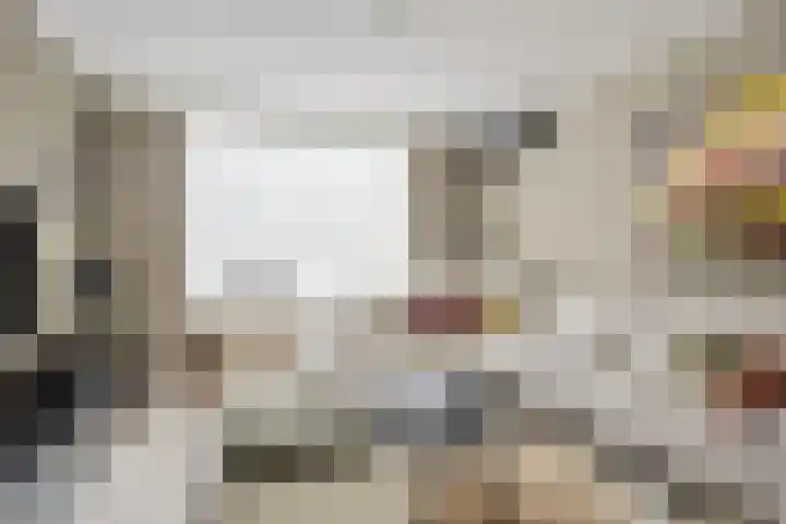 Frankendaal 44 Eindhoven thumbnail 8