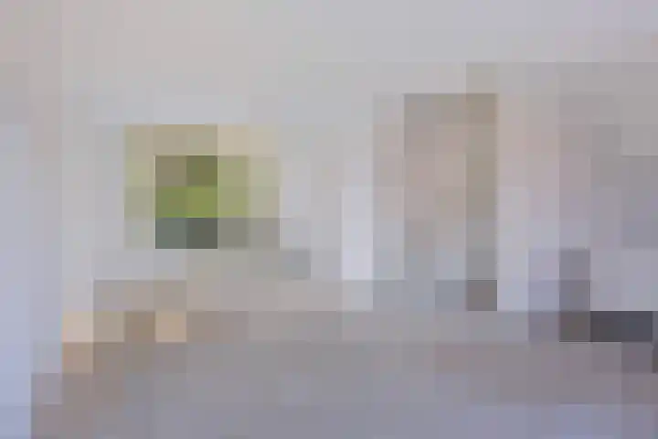 Frankendaal 65 Rotterdam thumbnail 5