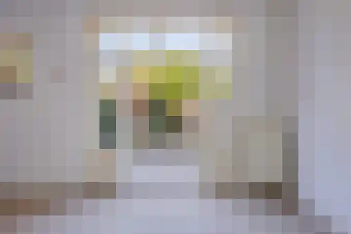 Frankendaal 65 Rotterdam thumbnail 6