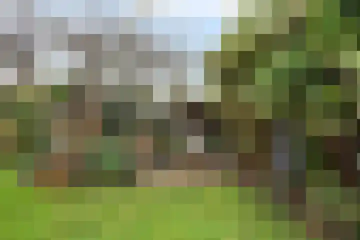 Frankendaalstraat 6 Callantsoog thumbnail 34