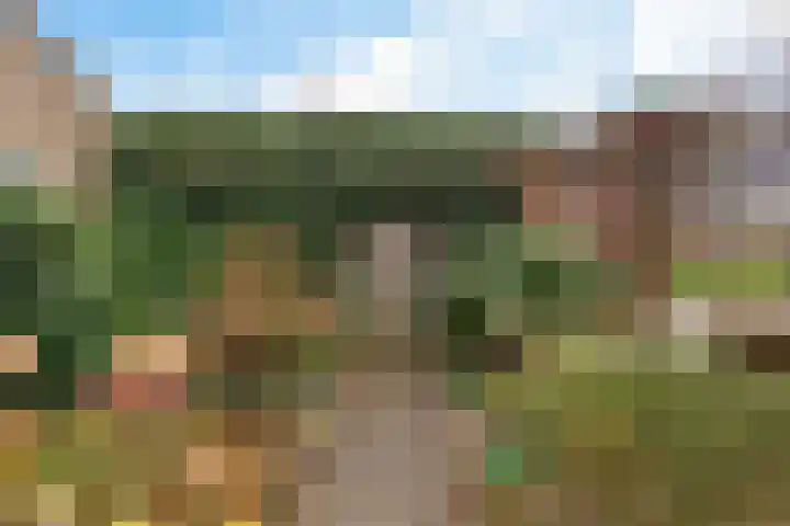 Frankendaalstraat 6 Callantsoog thumbnail 4