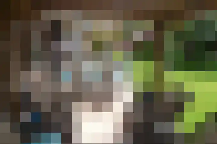 Frankendaalstraat 6 Callantsoog thumbnail 50
